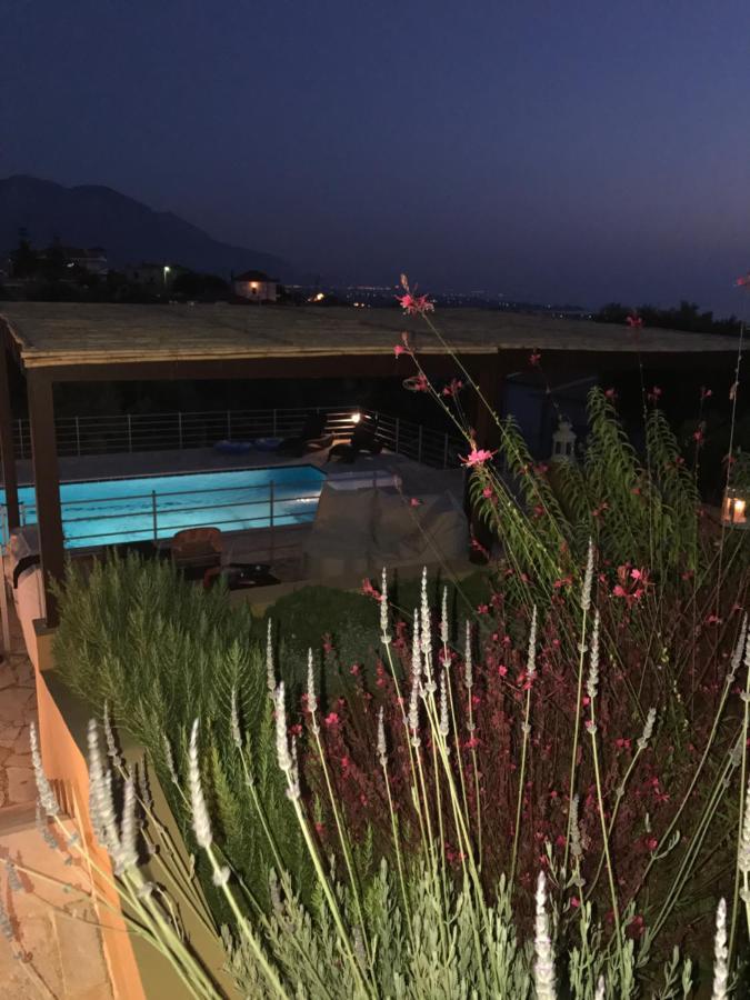 Villa Verde Ano Kalon Neron Dış mekan fotoğraf
